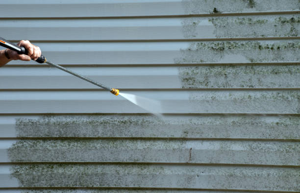 Best Deck Cleaning Services  in Leonville, LA