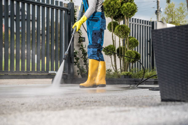 Best Exterior Home Cleaning  in Leonville, LA