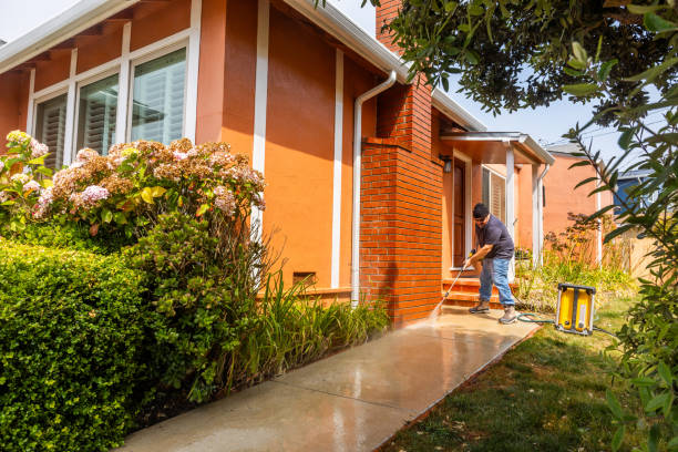 Best Affordable Pressure Washing  in Leonville, LA